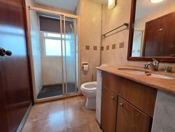 Evergreen Park (D19), Apartment #578498181